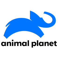 AnimalPlanet